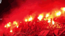 Polish Bands banner