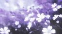 𓆩𓆪 mystix Banner