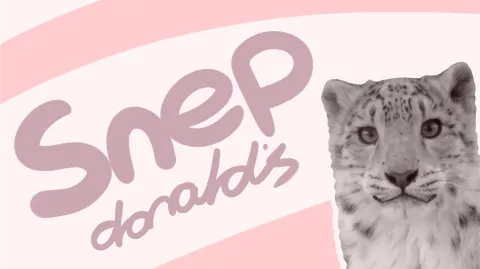 snepdonald's™ .𝗴𝗴/𝘀𝗻𝗲𝗽 banner