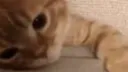 EMO π½πΈπππΎ , π²π°π π΄πΌπΎππ΄π & πΏπ΅πΏπ banner