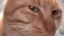 𝘐𝘧 𝘺𝘰𝘶 𝘭𝘪𝘬𝘦 𝘱𝘪𝘯𝘢 𝘤𝘰𝘭𝘢𝘥𝘢𝘴 banner