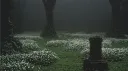 𝐆𝐑𝐀𝐕𝐄 Discord server banner