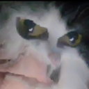 Egg's Spring Fridge Discord server banner