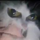 Egg's Spring Fridge Discord server banner