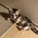 /paldo  PLEASE JOIN. Banner