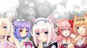 Community for Cats Banner