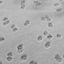 angelity﹒icons﹒social Banner