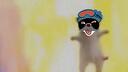 「  PLANET FRƎNZY  」 Banner