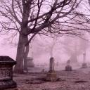 𝑪𝒍𝒖𝒃𝒆 𝑺𝒂𝒕𝒂𝒏𝒊𝒄𝒐 Banner