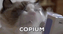 +18 Copium box server banner