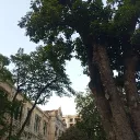 Trưng Vương Secondary School's Server! banner