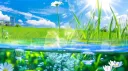 ❛ 🌿 lotv 。 Discord server banner