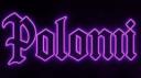 Polonii Banner
