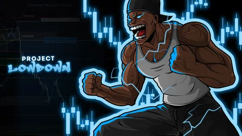 Project Lowdown banner