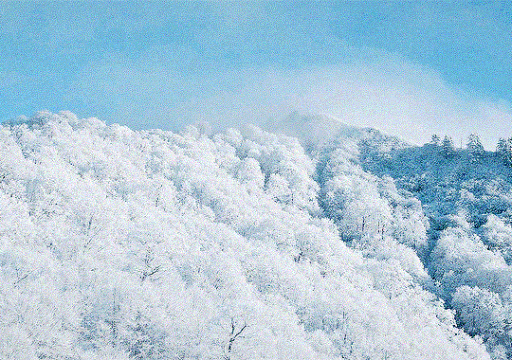 /weriize ⟢ rt 1.5K | REVAMP Discord server banner