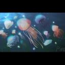 Jellyfish Cove! [Revamping] Banner