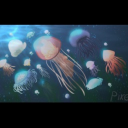 Jellyfish Cove! Discord server banner