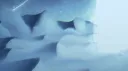 Chronicles banner