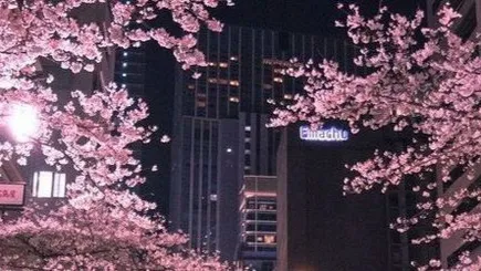 ✩‧₊˚𓆩cyberangels𓆪˚₊‧✩ banner