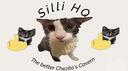 Silli HQ Banner