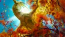 🌱🐉Dracos Garden🌻🌱 banner