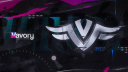 Team Vavory | DE Discord server banner