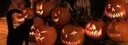 Loti#3102 banner