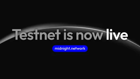 Midnight Network Discord server banner