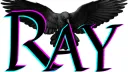 Rays banner