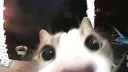 хз, не придумали banner