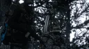 [DN] Destined To Fry banner