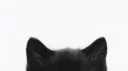 /littleroom Discord server banner