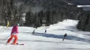 Ski Southeast banner