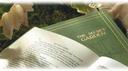 　.　⊹　ephernal　gardens　　⁺ Banner