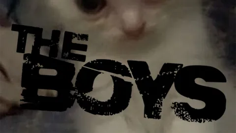 theboys. banner