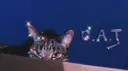 C.A.T | 18+ | SFW Discord server banner