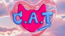 C.A.T | 18+ | SFW banner