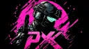 PX_ONE server banner