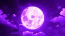 ◼WATT◼ Discord server banner