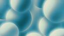 Paradise Community Banner