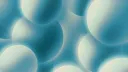 Paradise Community banner