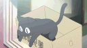 Cats Hangout banner