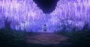 Re:Tsu - Le Sanctuaire Sacré 🥢 banner