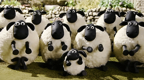 울타리 Discord server banner