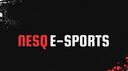 NESQ.PRO Banner