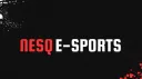 NESQ Banner