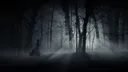 ノeastside† banner