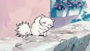 ೀ﹐/pearl﹕emotes + tag banner