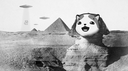 WPD.DC V3 Banner