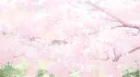 Femboy Order :3 ・Femboys ・Gay ・Furry ・ Furries・Transgender・Bi・LGBTQ+・Boykisser banner